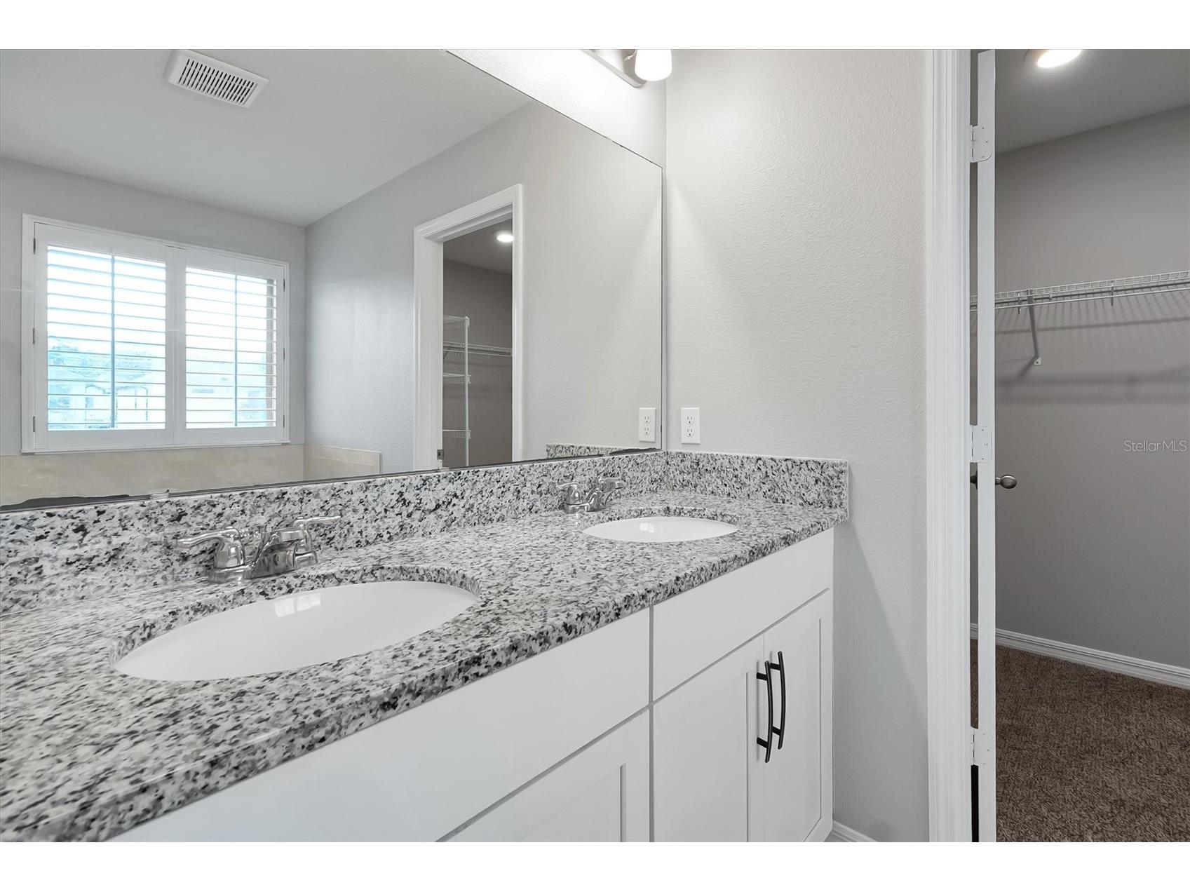 9872 Aurea Moss Lane Orlando FL 32832 O6392632 image20
