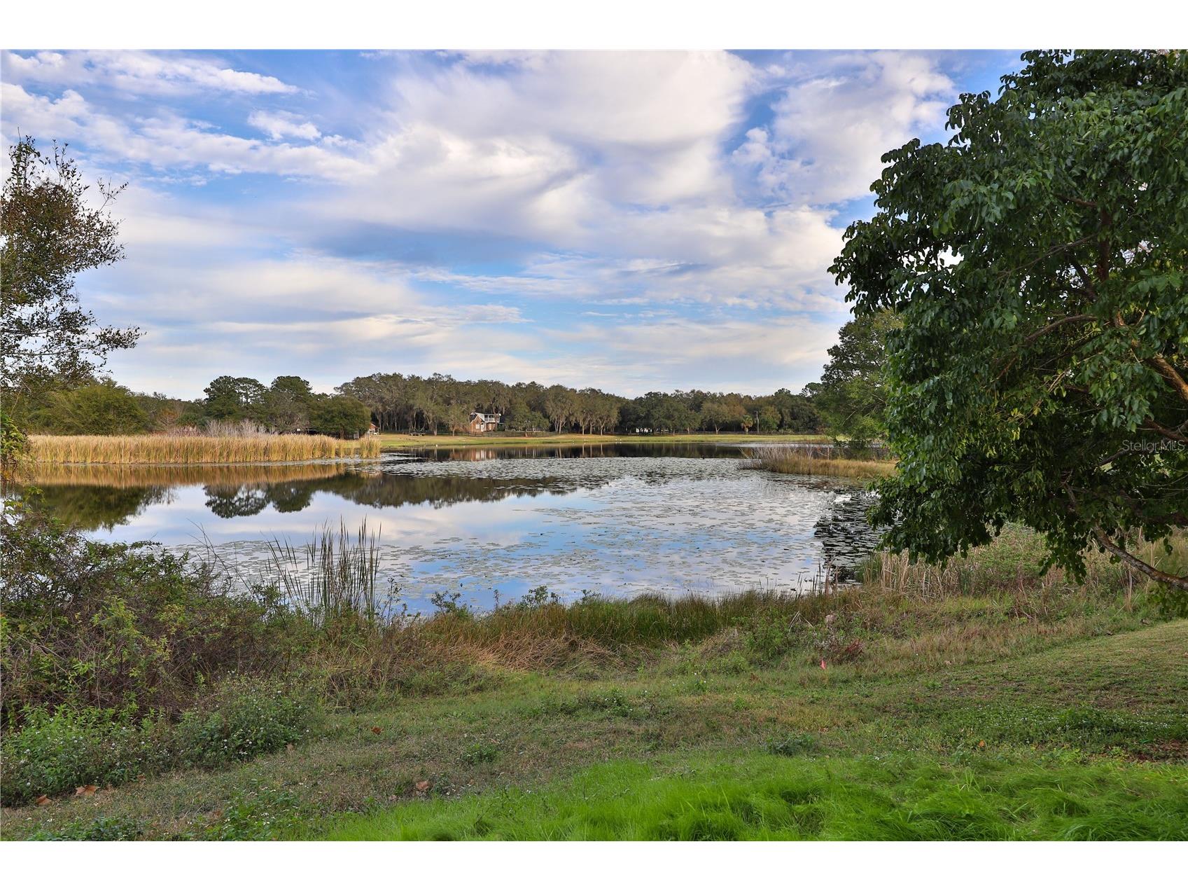 9872 Bubbling Brook Court Oviedo FL 32765 O6370577 image2