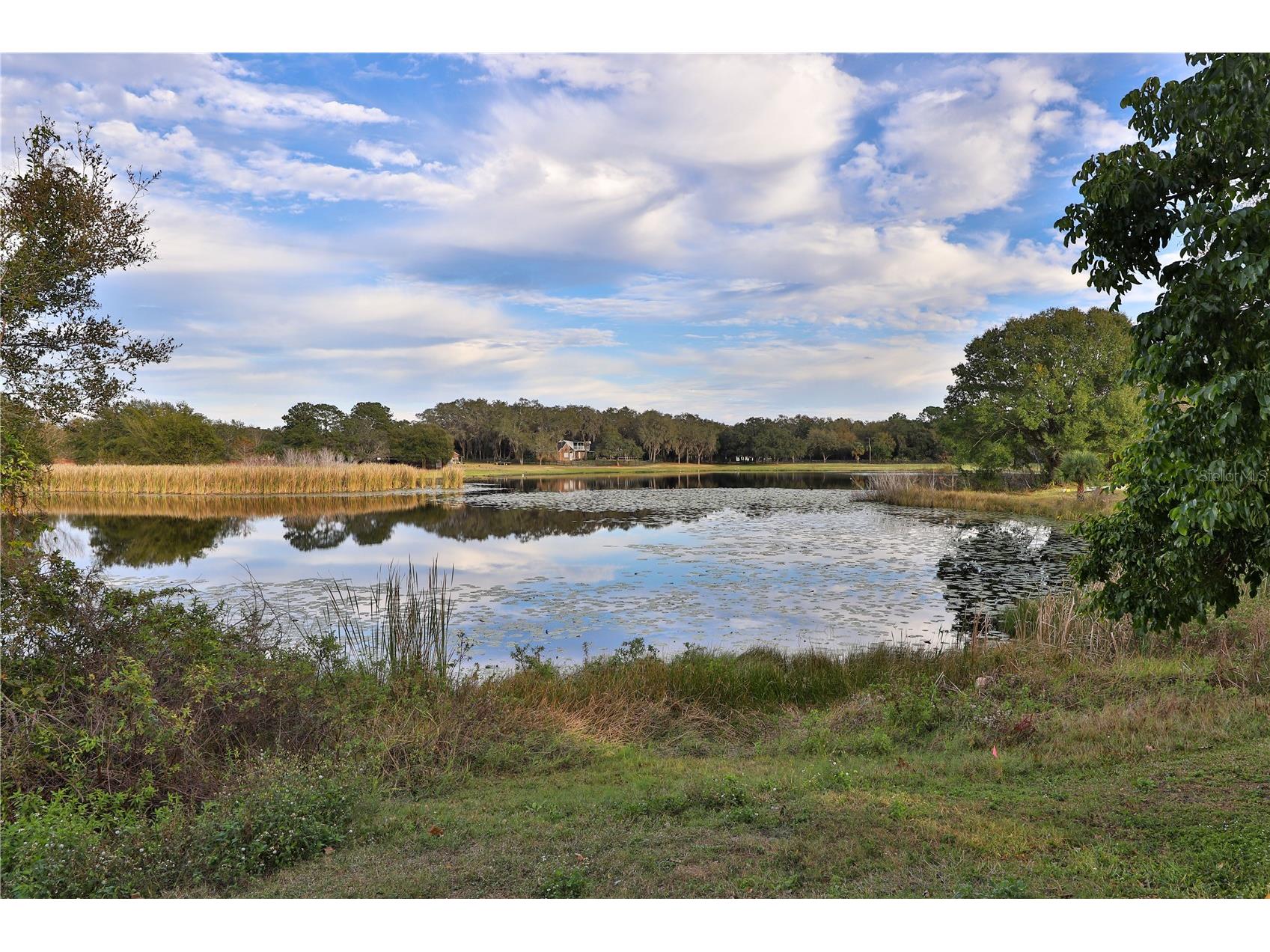 9872 Bubbling Brook Court Oviedo FL 32765 O6370577 image21