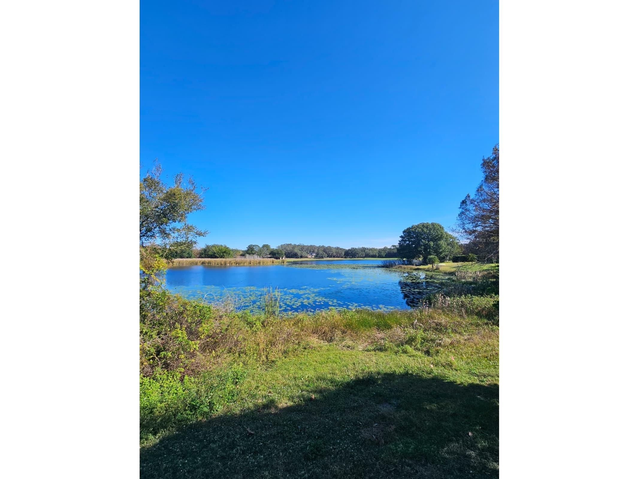 9872 Bubbling Brook Court Oviedo FL 32765 O6370577 image22