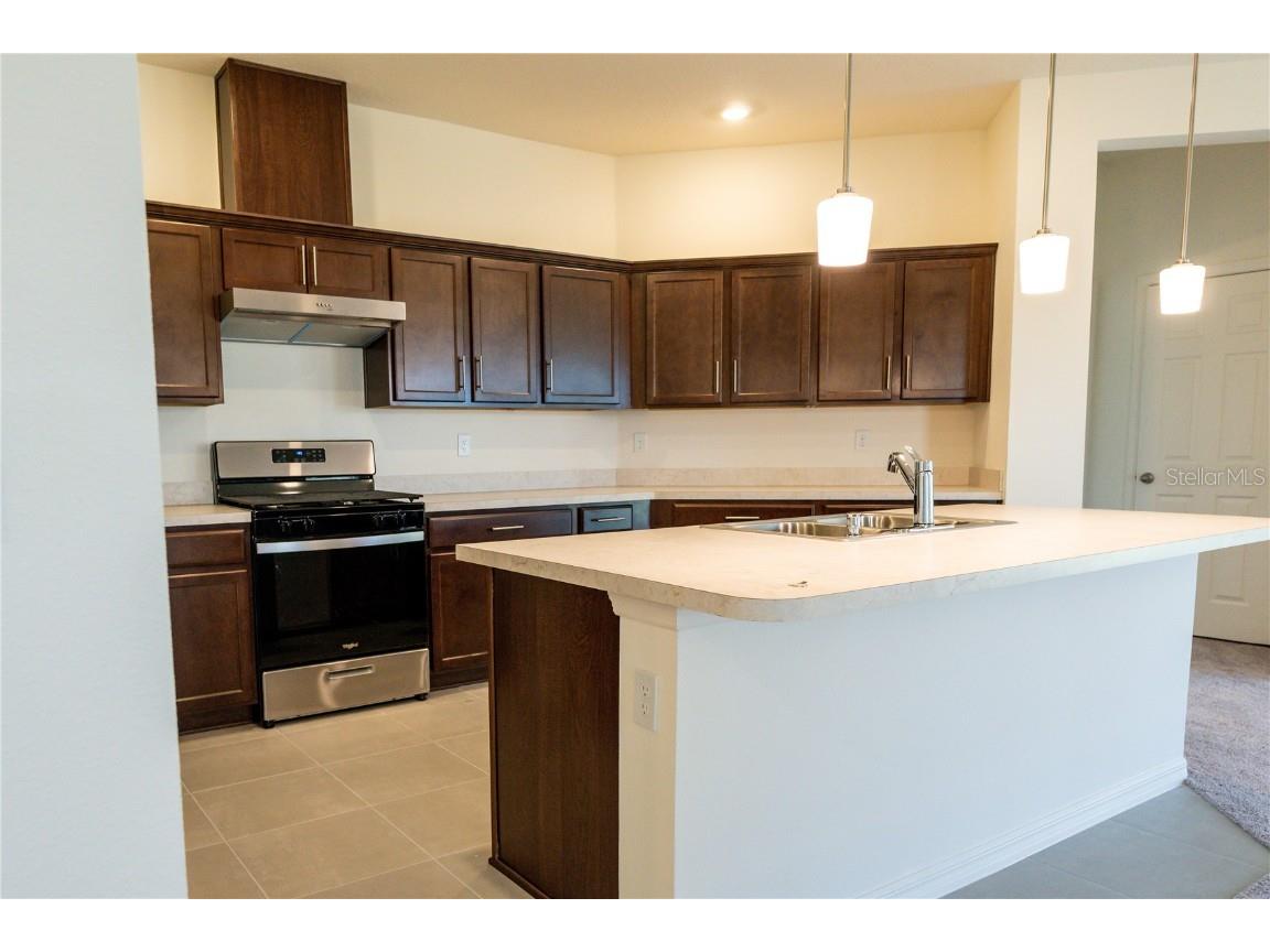 9873 Orion Loop Leesburg FL 34788 O6364148 image19