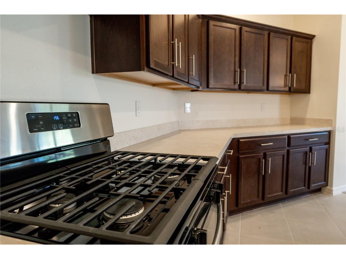 9873 Orion Loop Leesburg FL 34788 O6364148 image21