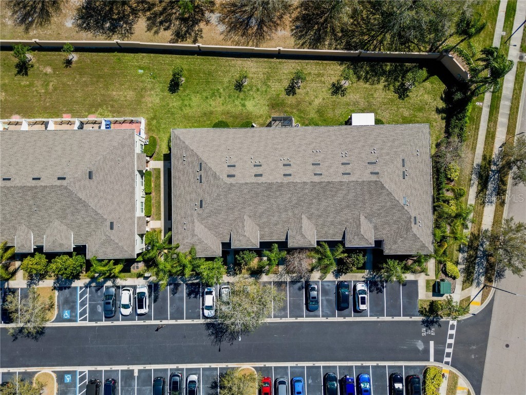 9873 Trumpet Vine Loop Trinity FL 34655 TB8418322 image12