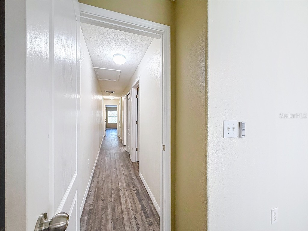 9873 Trumpet Vine Loop Trinity FL 34655 TB8418322 image32