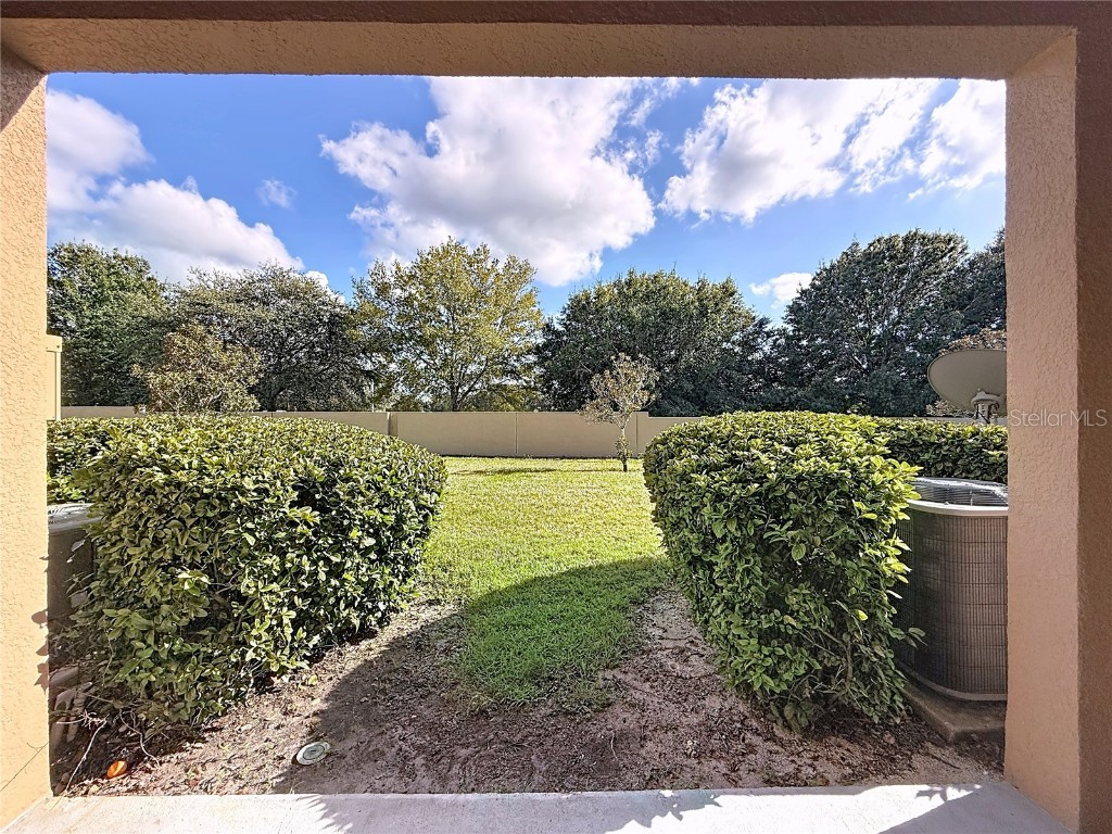 9873 Trumpet Vine Loop Trinity FL 34655 TB8418322 image36