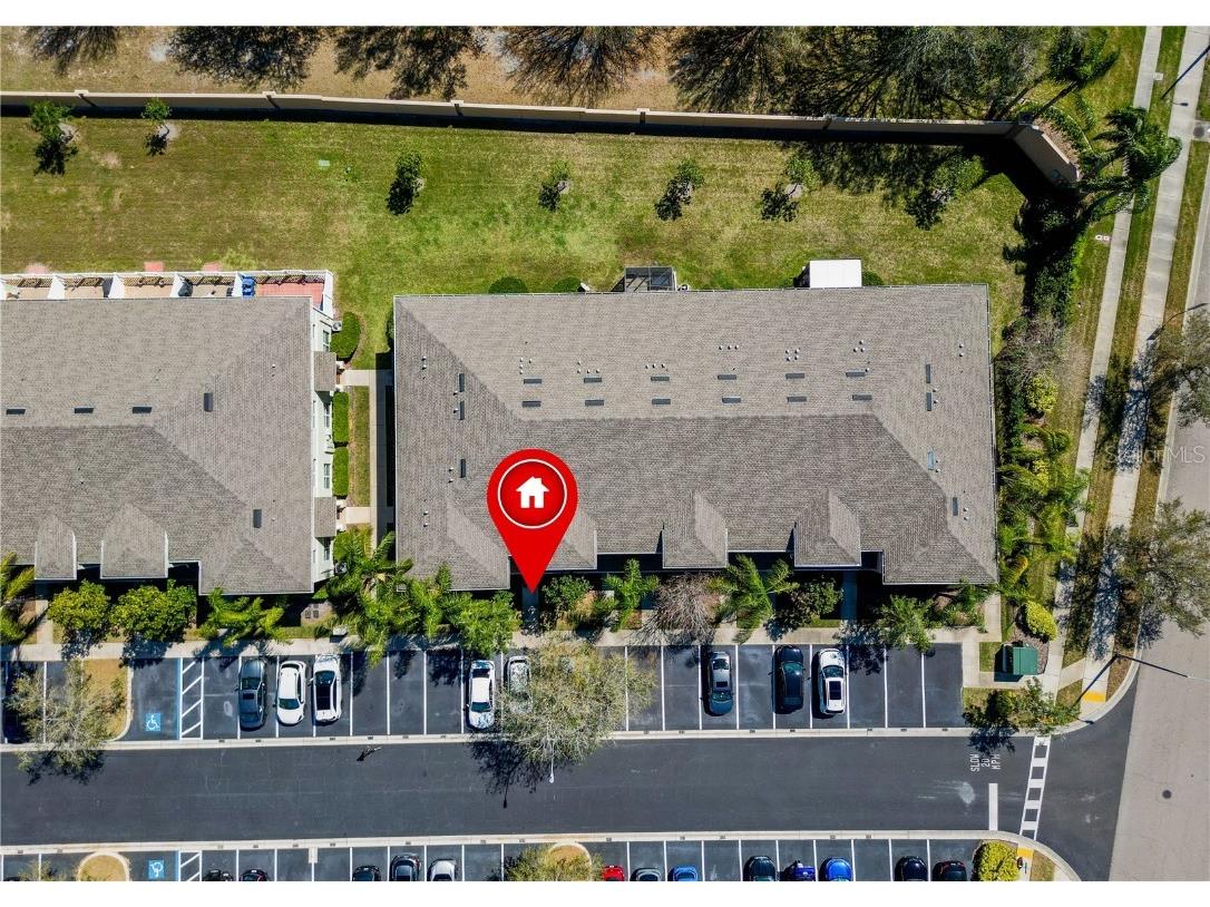 9873 Trumpet Vine Loop Trinity FL 34655 TB8418322 image38