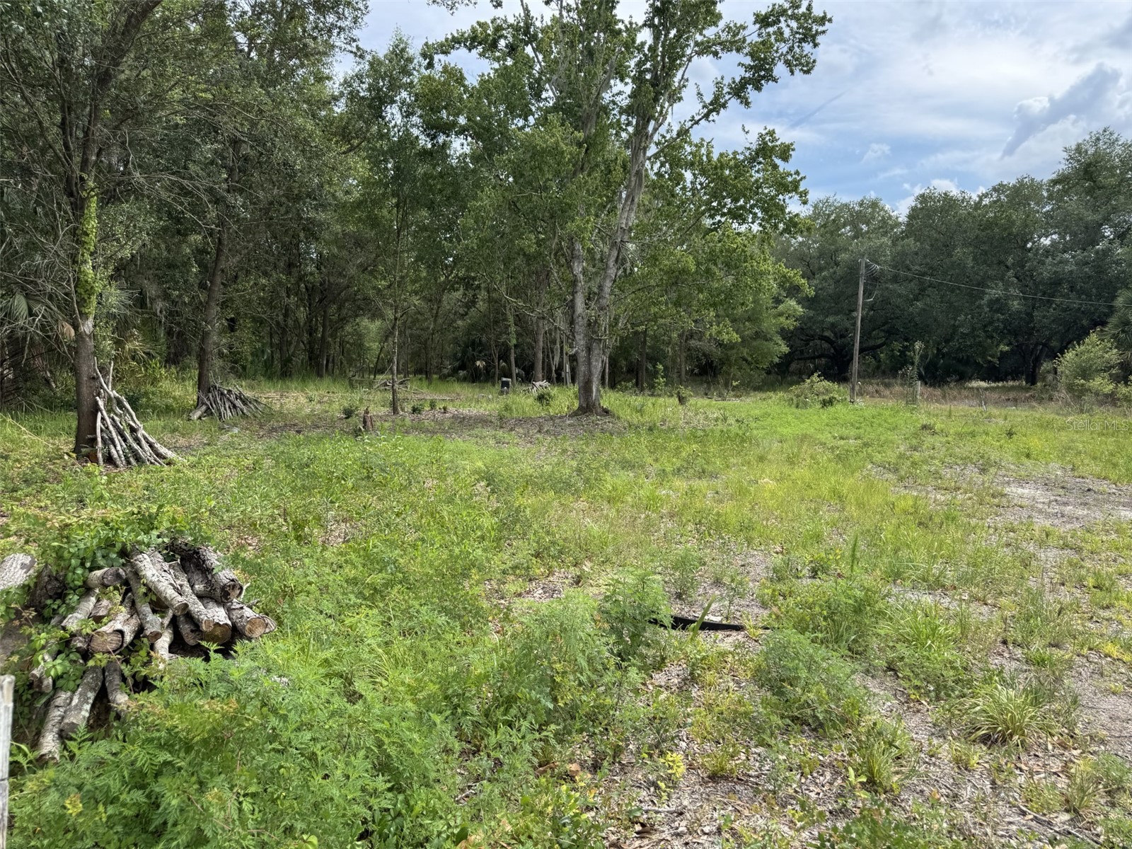 9876 Sr 60 E Lake Wales FL 33898 P4938742 image4