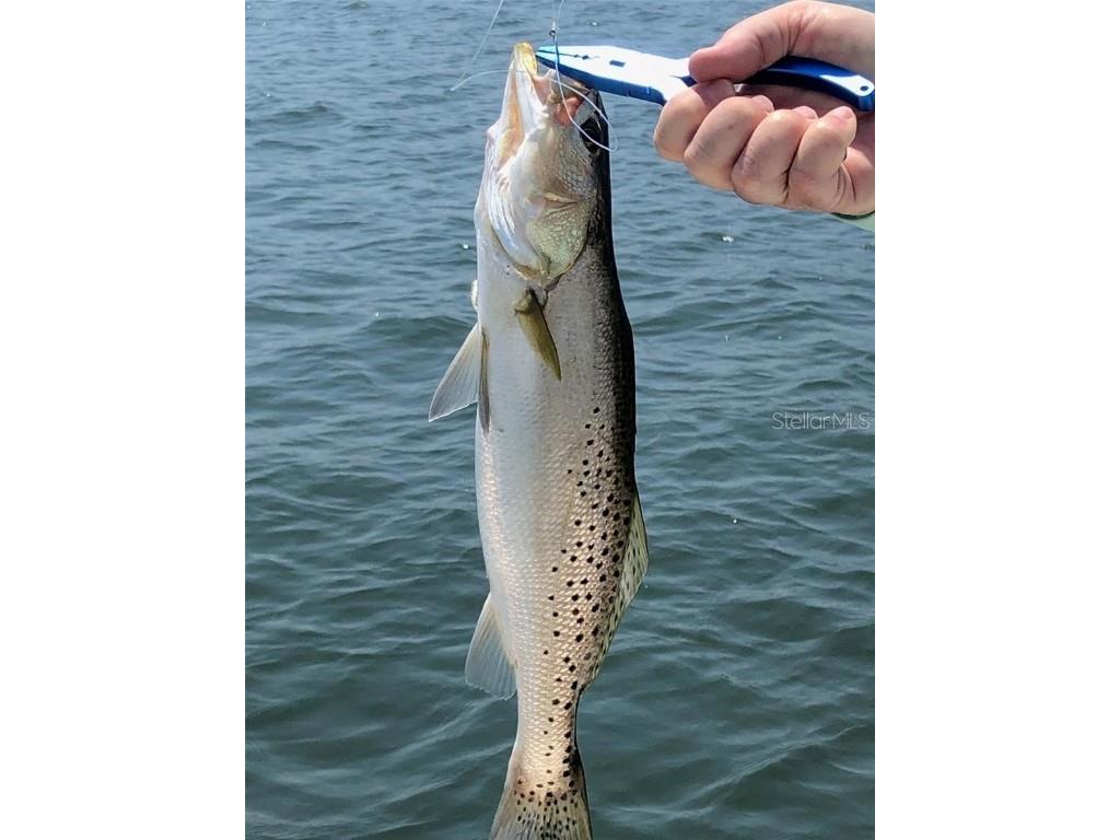 988 Blvd Of The Arts #109 Sarasota FL 34236 - SARASOTA BAY A4656774 image66