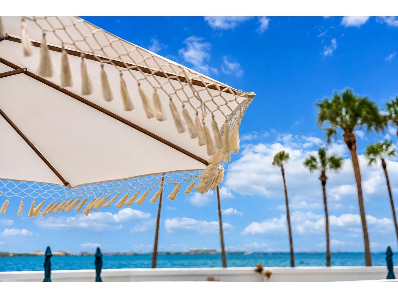 988 Blvd Of The Arts #109 Sarasota FL 34236 - SARASOTA BAY A4695584 image75