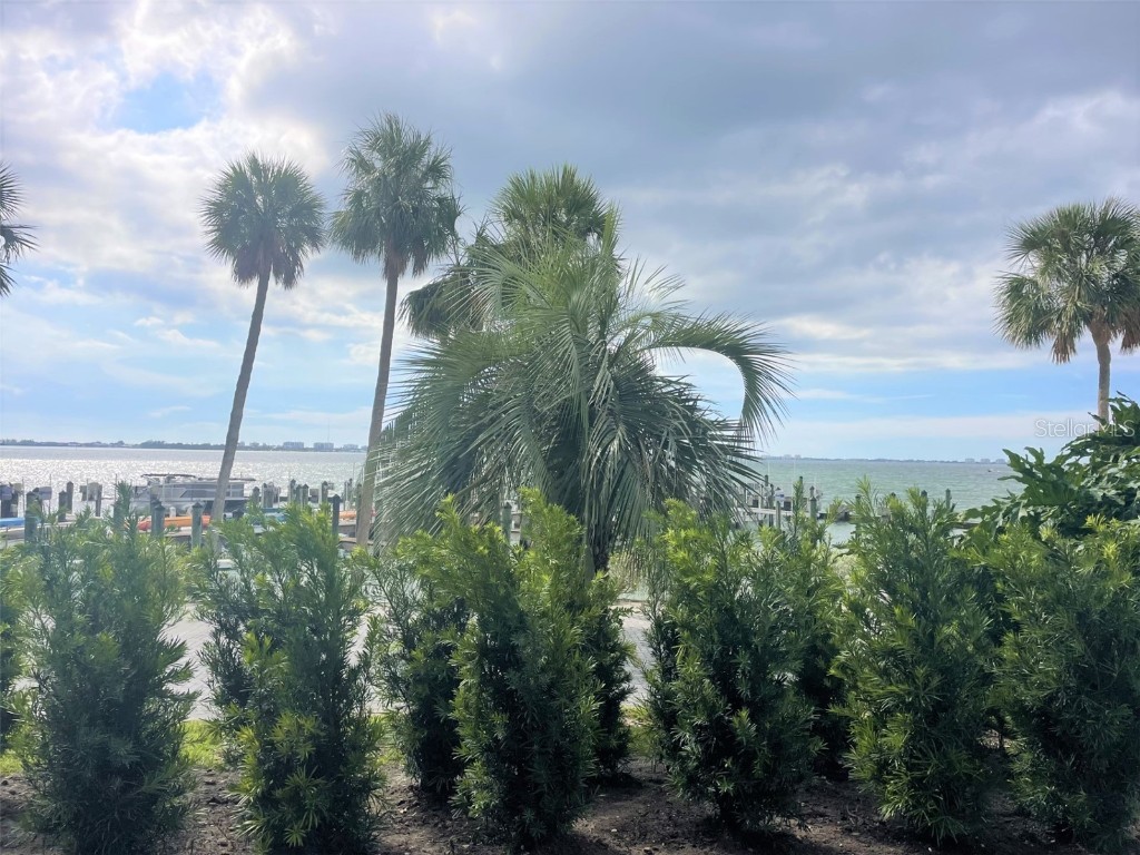 988 Blvd Of The Arts #115 Sarasota FL 34236 - SARASOTA BAY A4674014 image2