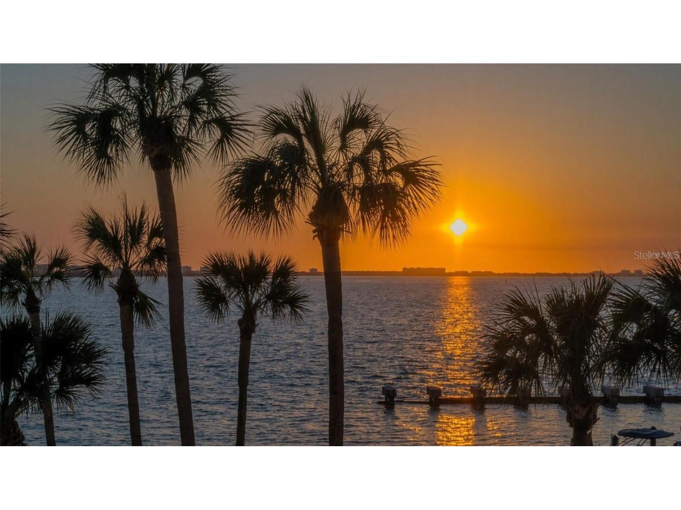 988 Blvd Of The Arts #311 Sarasota FL 34236 - SARASOTA BAY A4634217 image44