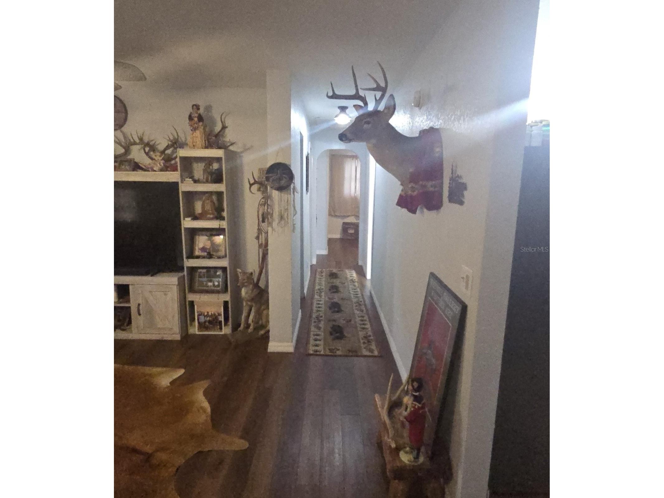 988 Fazzini Dr Frostproof FL 33843 K4903611 image25