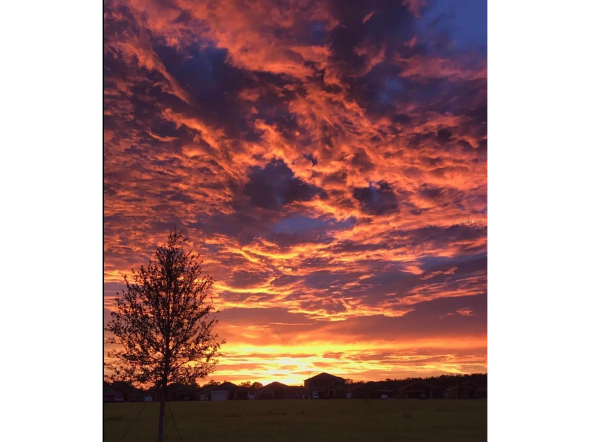 988 Scarlet Plume Lane Brooksville FL 34604 W7879867 image43