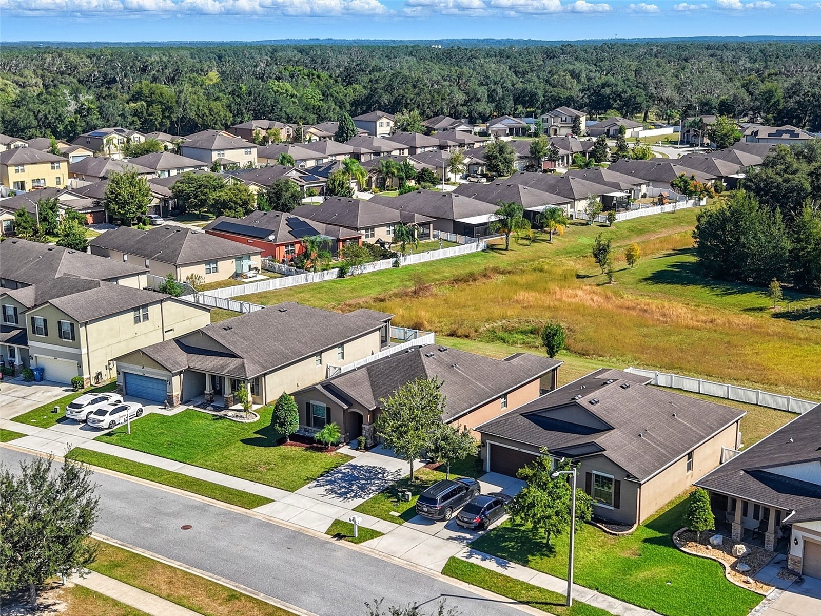 988 Scarlet Plume Lane Brooksville FL 34604 W7879867 image47