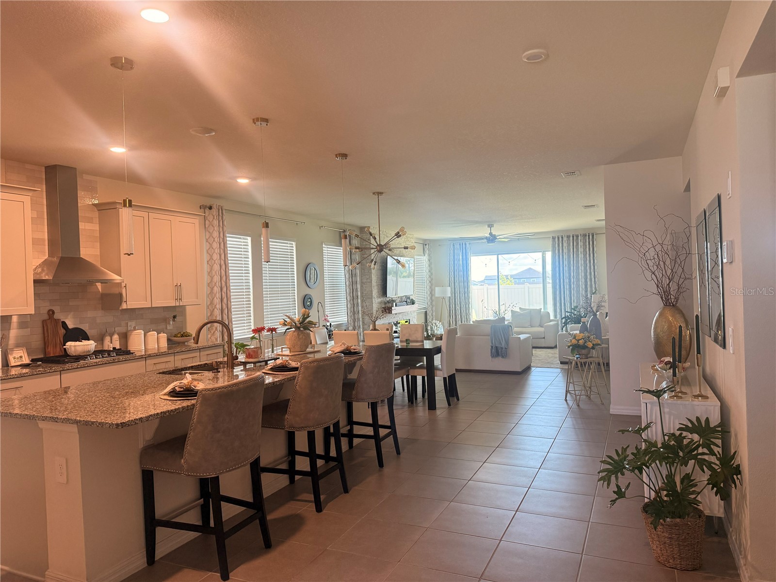 988 Vineyard Ridge Road Minneola FL 34715 O6411894 image9
