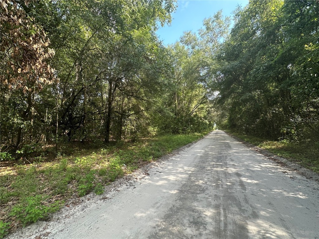 9880 NW 10th Avenue Branford FL 32008 GC515046 image1