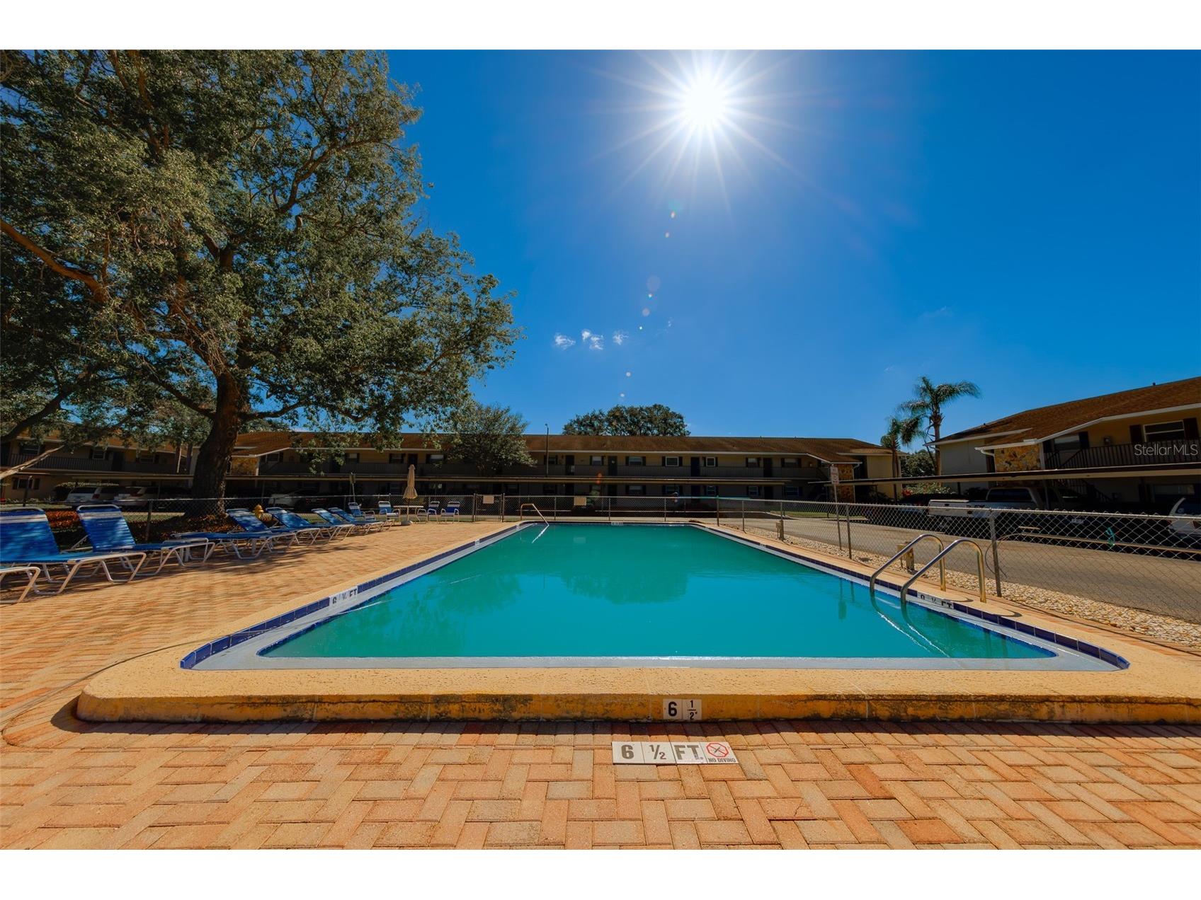 9881 113th Street #215 Seminole FL 33772 TB8499353 image31