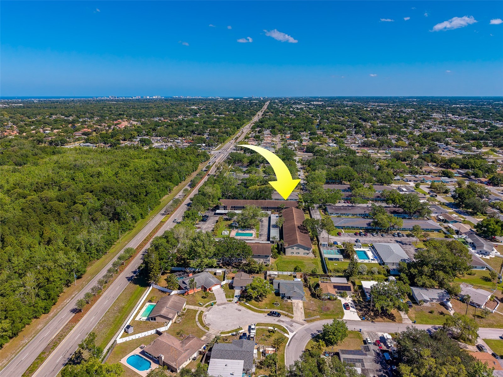 9881 113th Street #215 Seminole FL 33772 TB8499353 image37