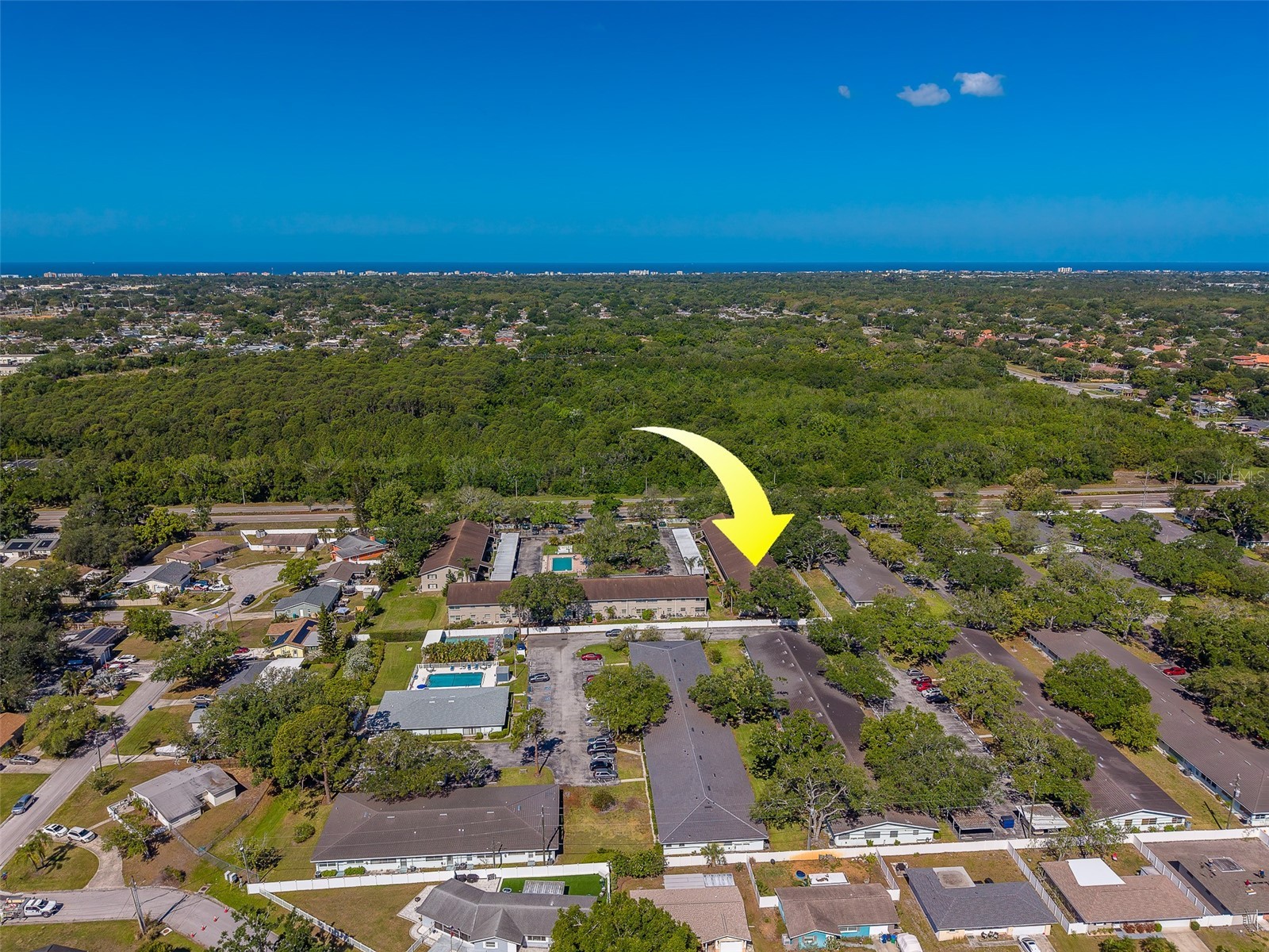 9881 113th Street #215 Seminole FL 33772 TB8499353 image38