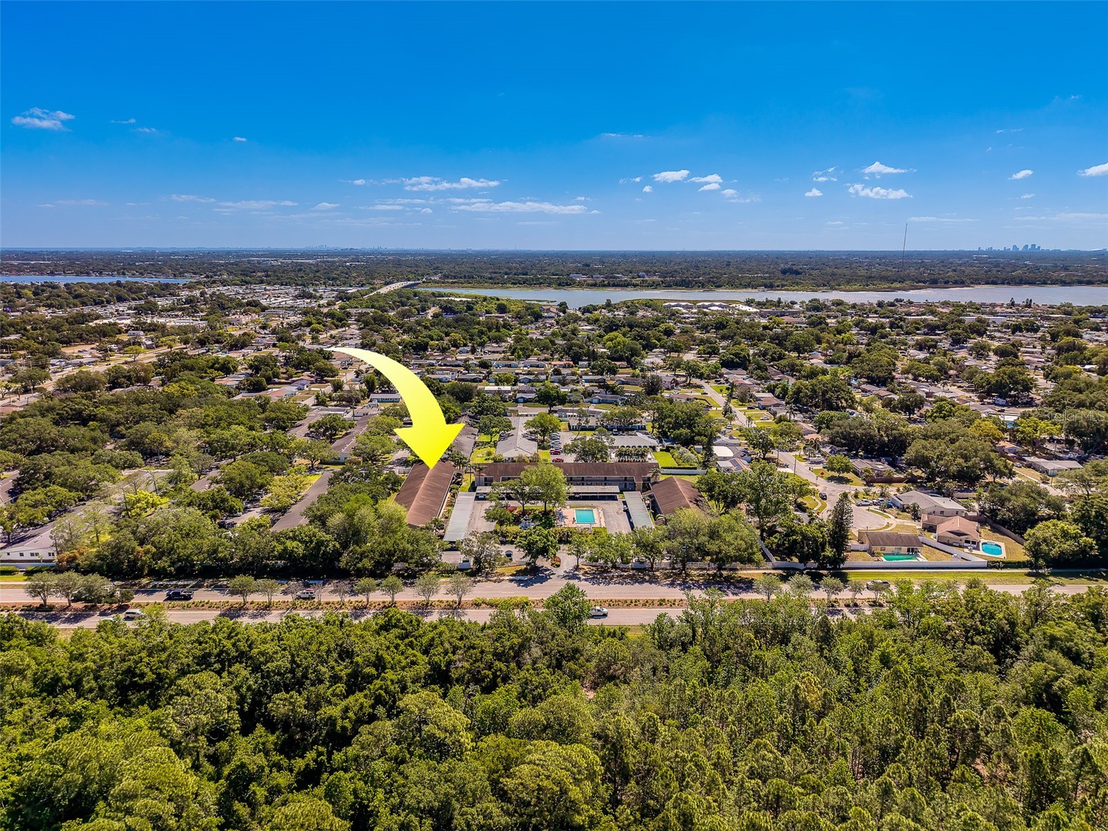 9881 113th Street #215 Seminole FL 33772 TB8499353 image39