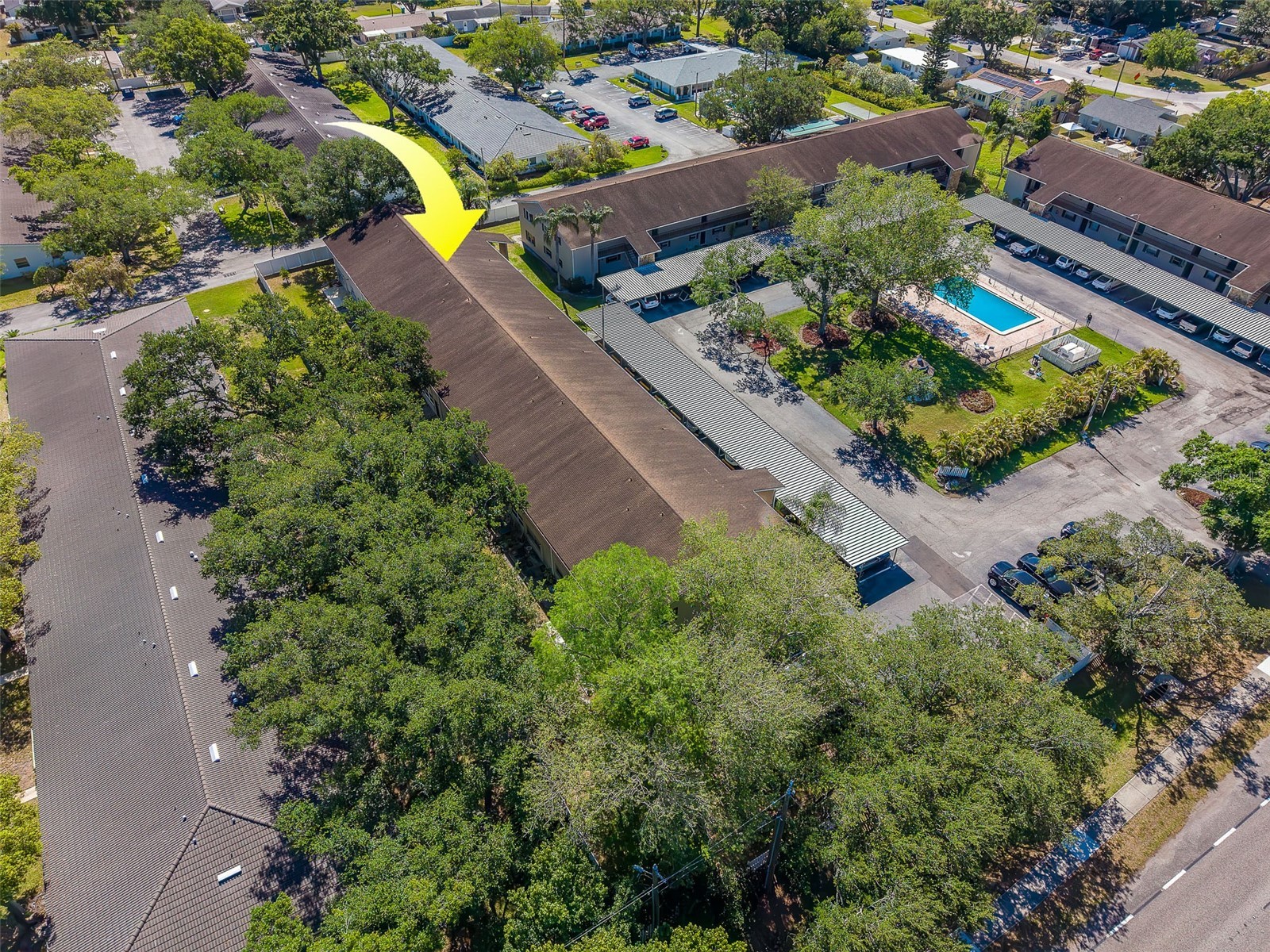 9881 113th Street #215 Seminole FL 33772 TB8499353 image43