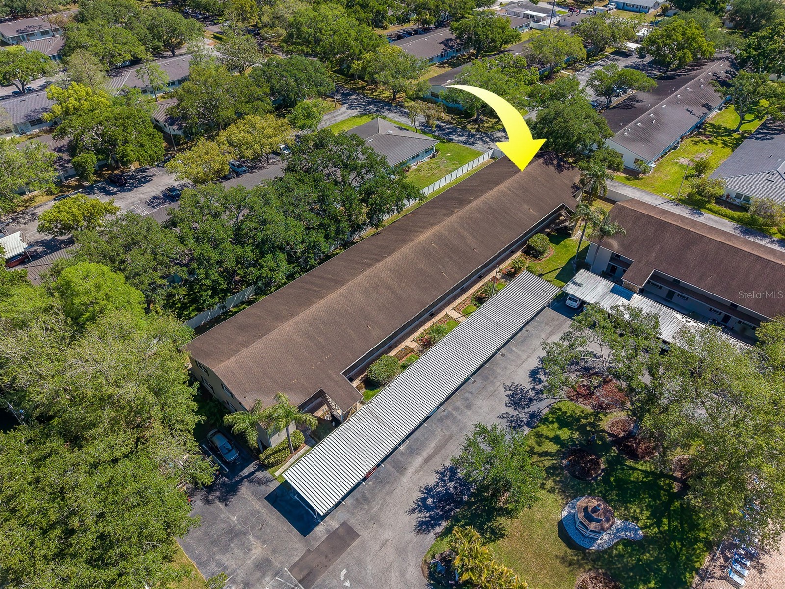 9881 113th Street #215 Seminole FL 33772 TB8499353 image44