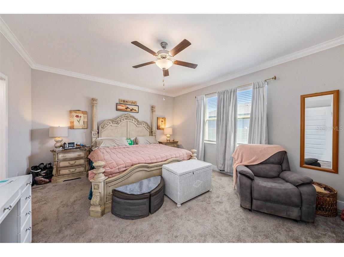 9882 Campanula Court Land O Lakes FL 34637 TB8441133 image15