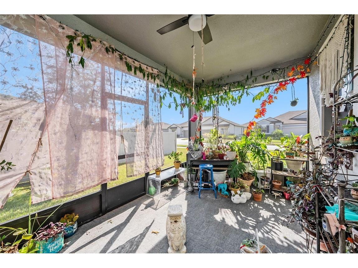 9882 Campanula Court Land O Lakes FL 34637 TB8441133 image23