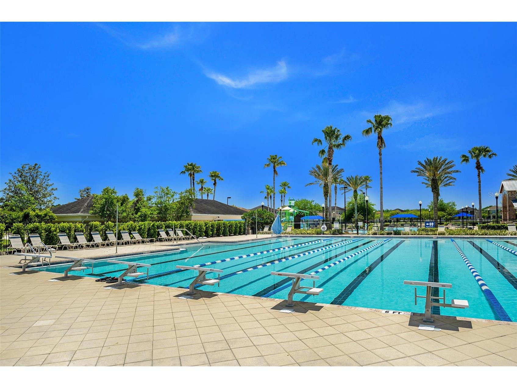 9882 Campanula Court Land O Lakes FL 34637 TB8441133 image32