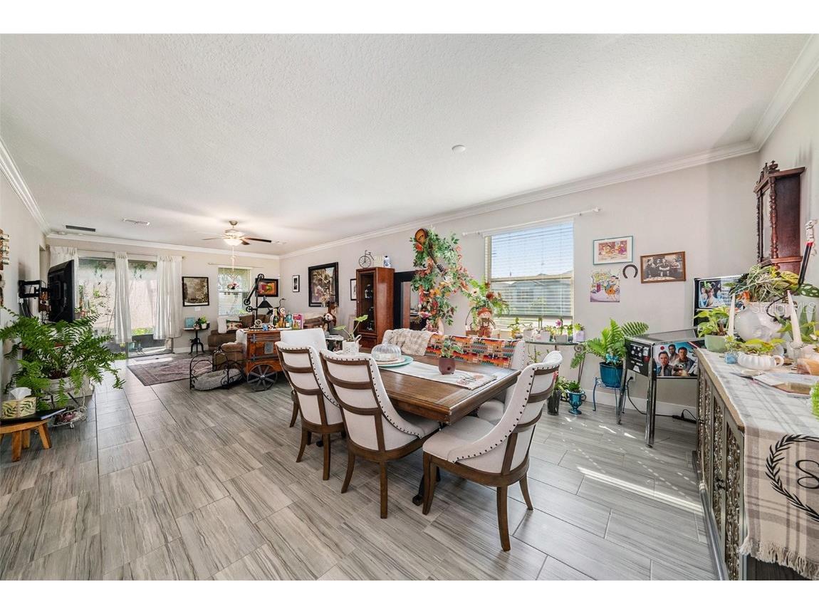 9882 Campanula Court Land O Lakes FL 34637 TB8441133 image6