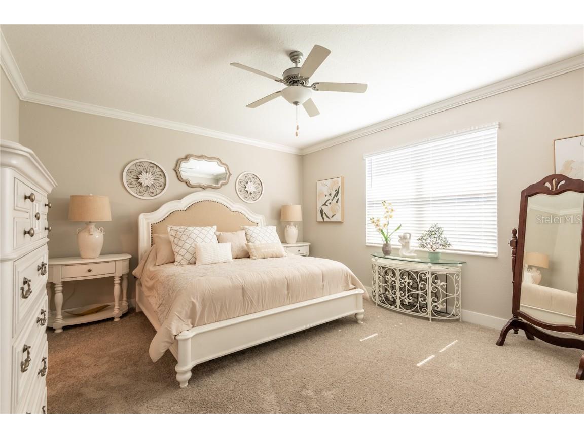 9882 Red Bay Loop Land O Lakes FL 34637 TB8432260 image15