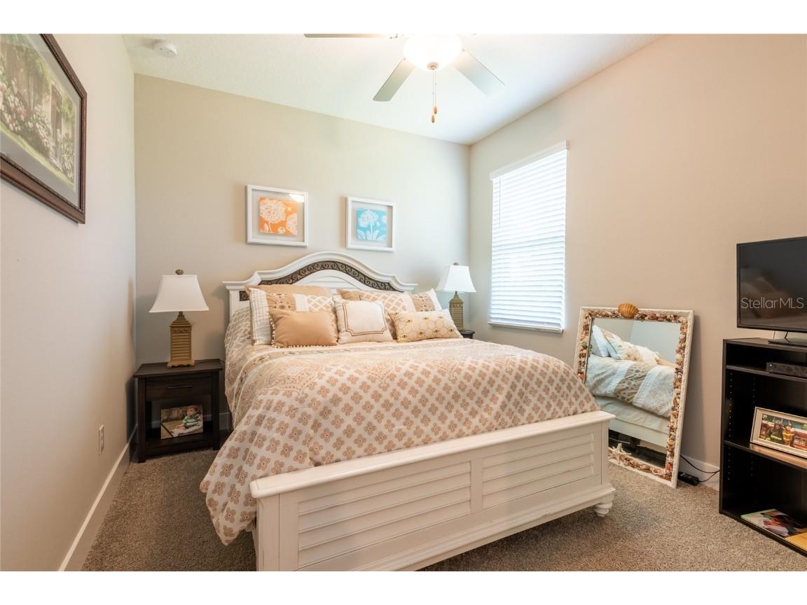 9882 Red Bay Loop Land O Lakes FL 34637 TB8432260 image17