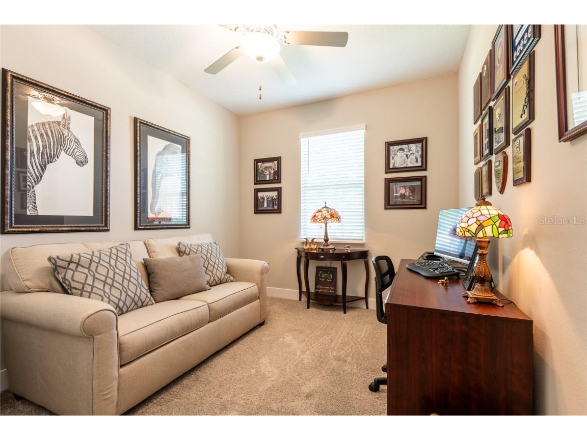 9882 Red Bay Loop Land O Lakes FL 34637 TB8432260 image19