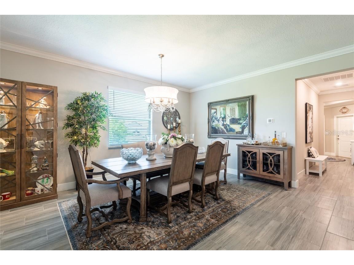 9882 Red Bay Loop Land O Lakes FL 34637 TB8432260 image22