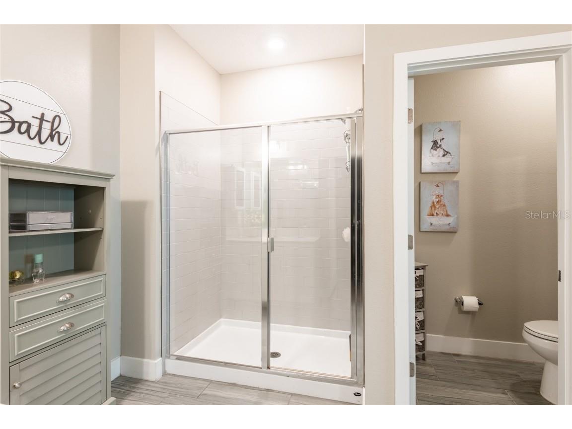 9882 Red Bay Loop Land O Lakes FL 34637 TB8432260 image28