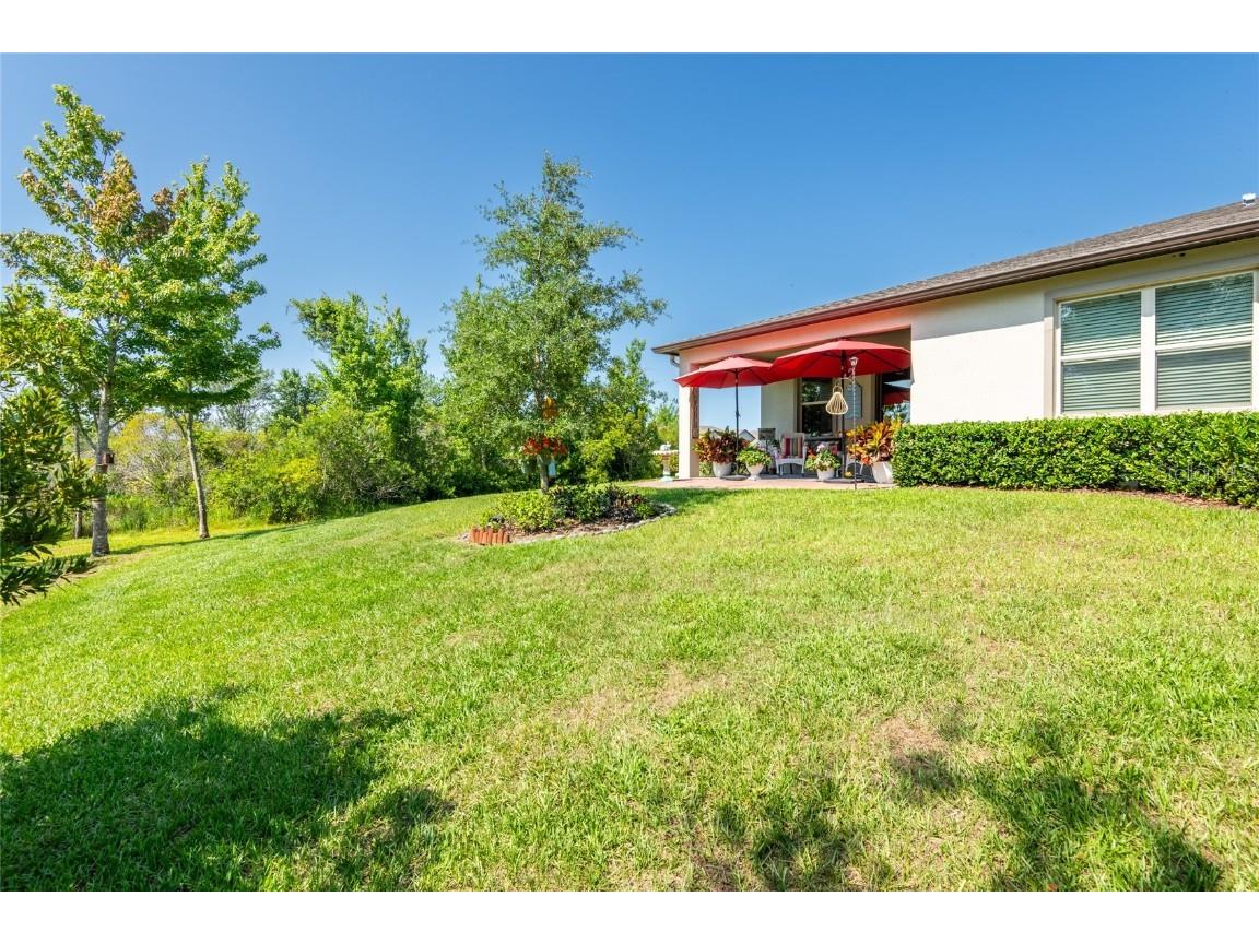 9882 Red Bay Loop Land O Lakes FL 34637 TB8432260 image30