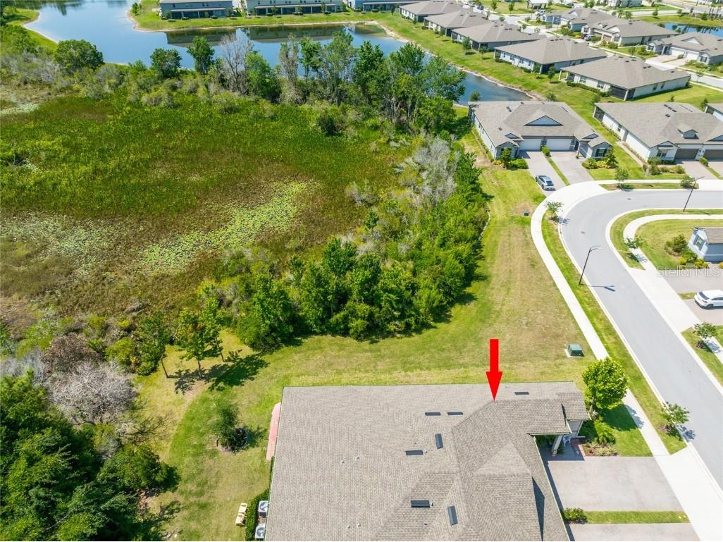 9882 Red Bay Loop Land O Lakes FL 34637 TB8432260 image32
