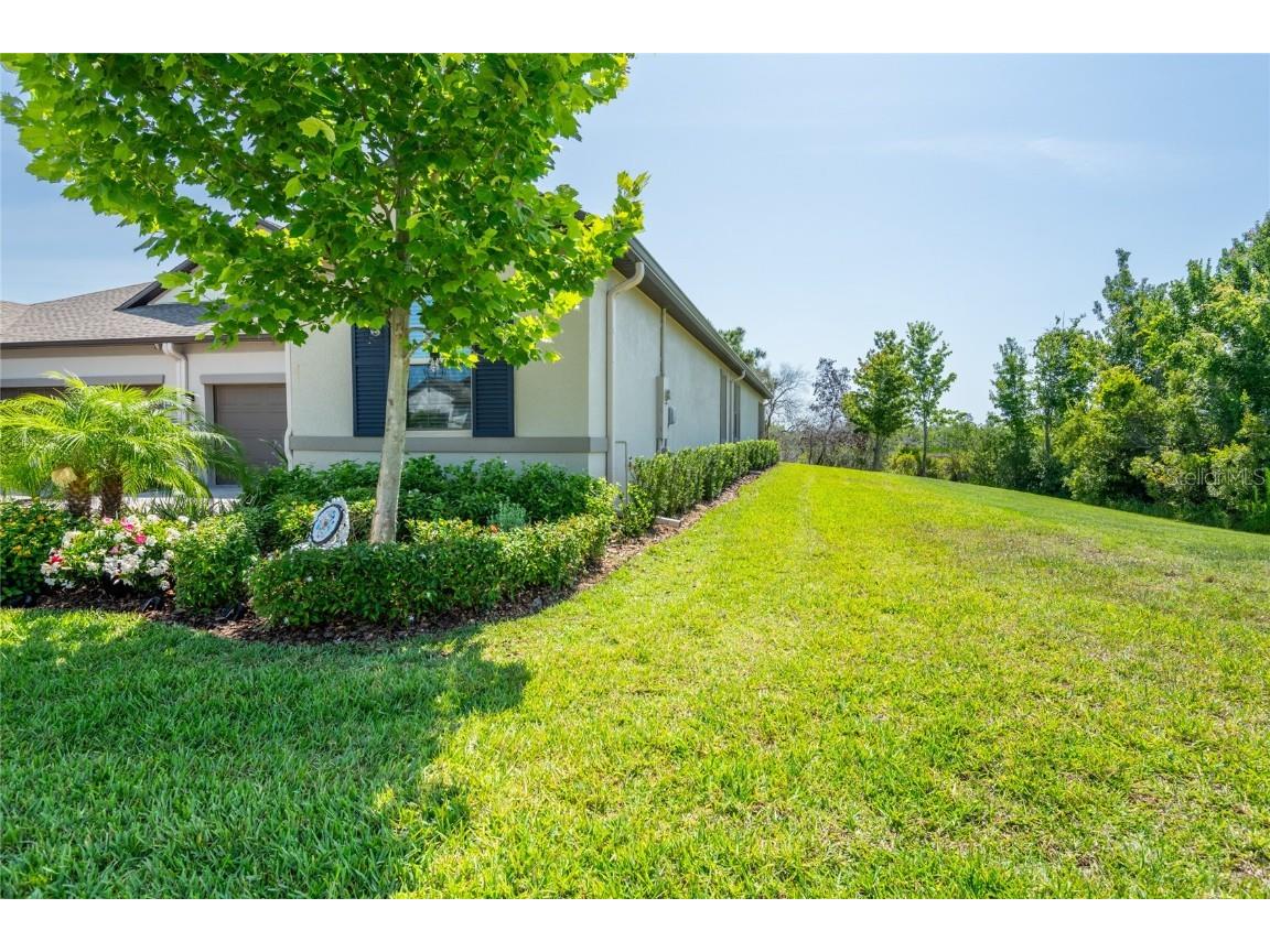 9882 Red Bay Loop Land O Lakes FL 34637 TB8432260 image36