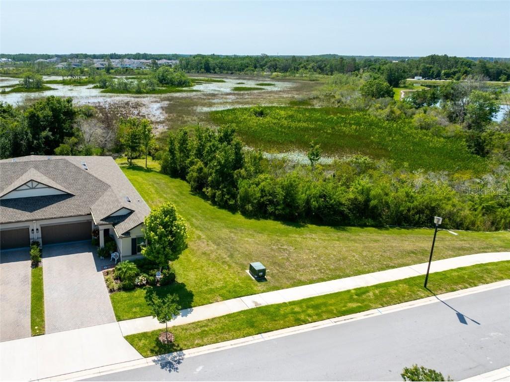 9882 Red Bay Loop Land O Lakes FL 34637 TB8432260 image37