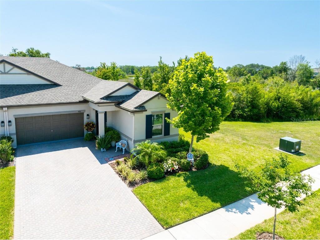 9882 Red Bay Loop Land O Lakes FL 34637 TB8432260 image39