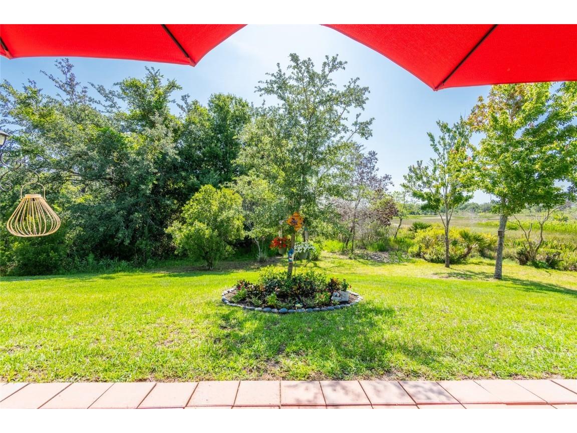 9882 Red Bay Loop Land O Lakes FL 34637 TB8432260 image4