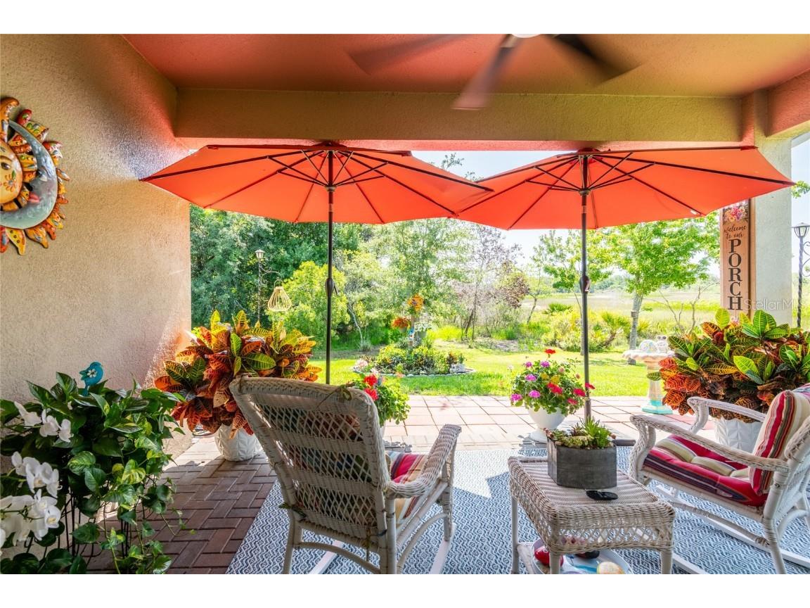 9882 Red Bay Loop Land O Lakes FL 34637 TB8432260 image5