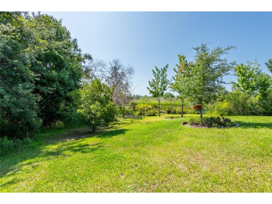 9882 Red Bay Loop Land O Lakes FL 34637 TB8432260 image6