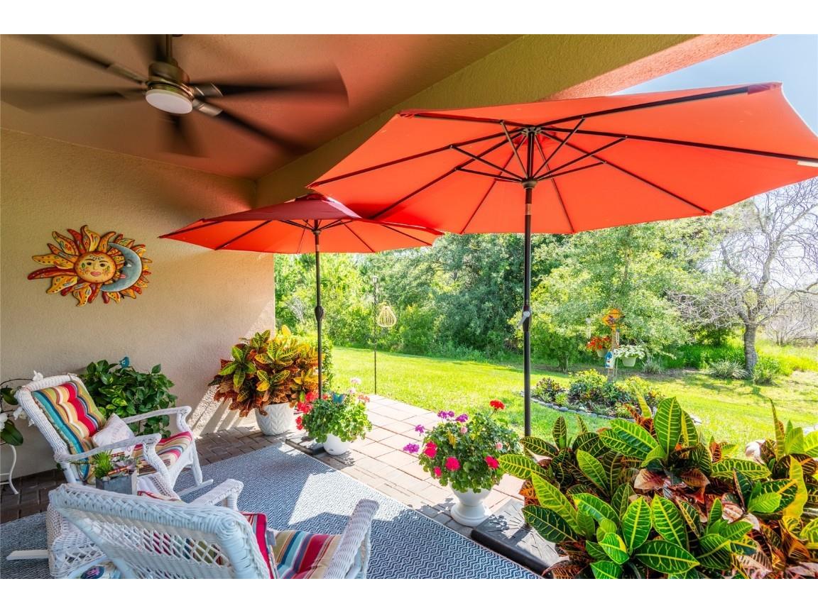 9882 Red Bay Loop Land O Lakes FL 34637 TB8432260 image7