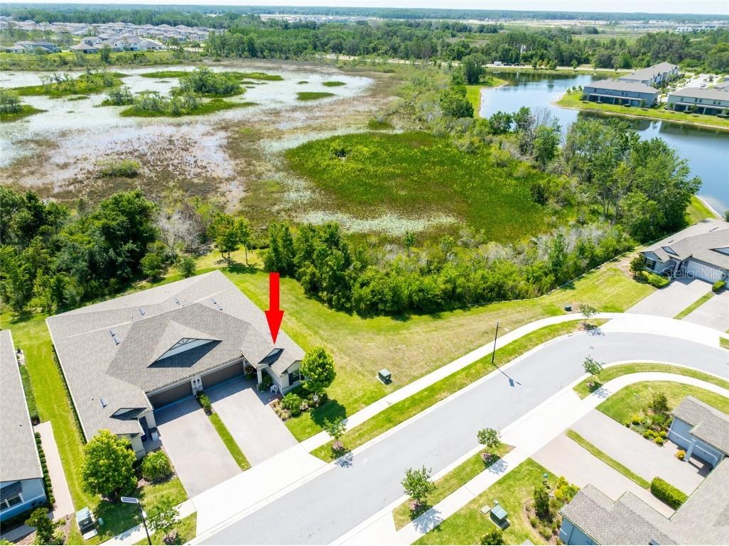 9882 Red Bay Loop Land O Lakes FL 34637 TB8432260 image8