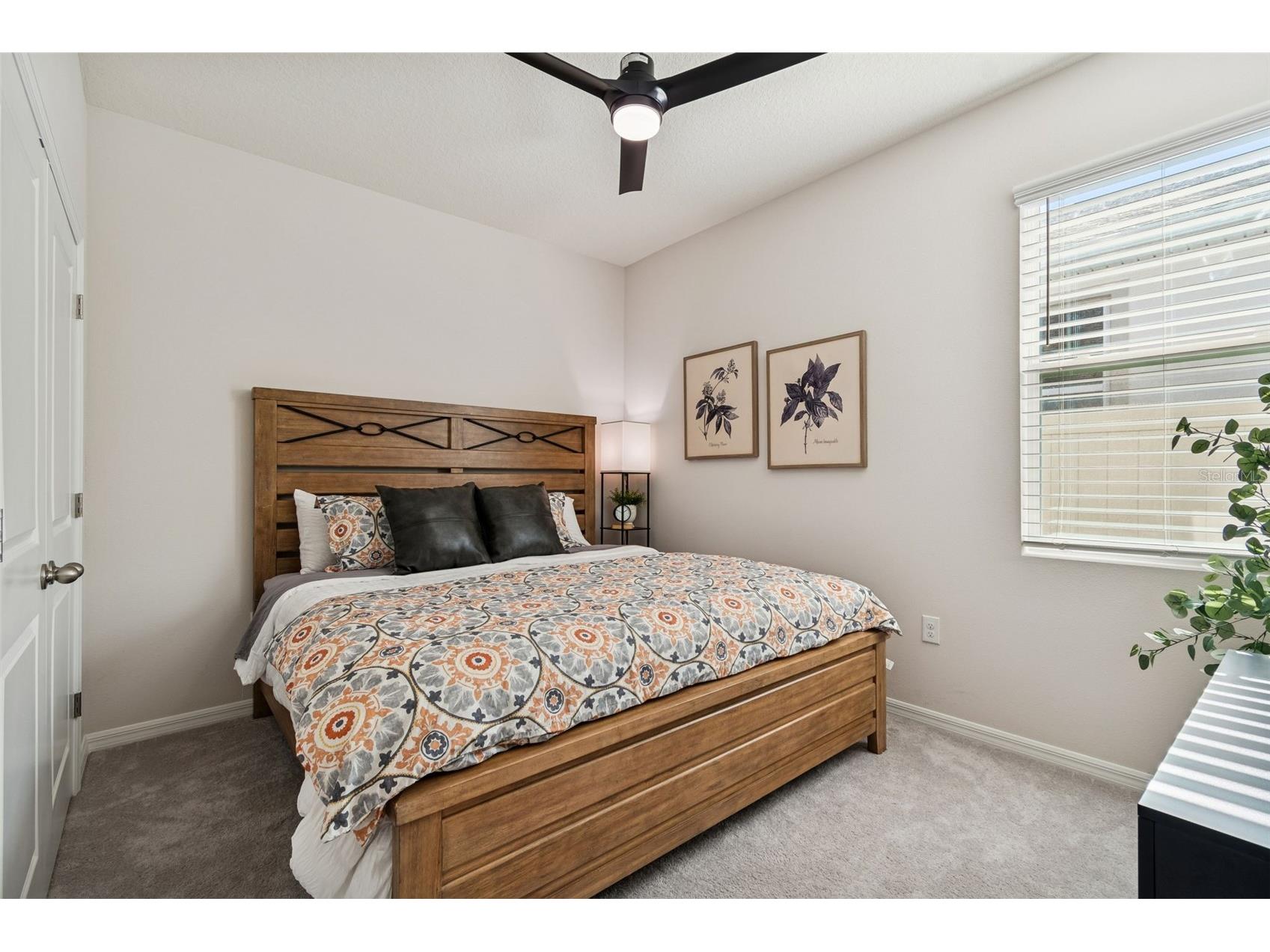 9882 Shoreline View Way Wesley Chapel FL 33545 TB8466209 image21