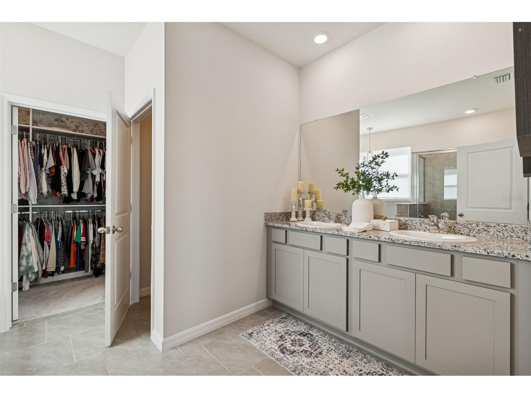 9882 Shoreline View Way Wesley Chapel FL 33545 TB8466209 image46