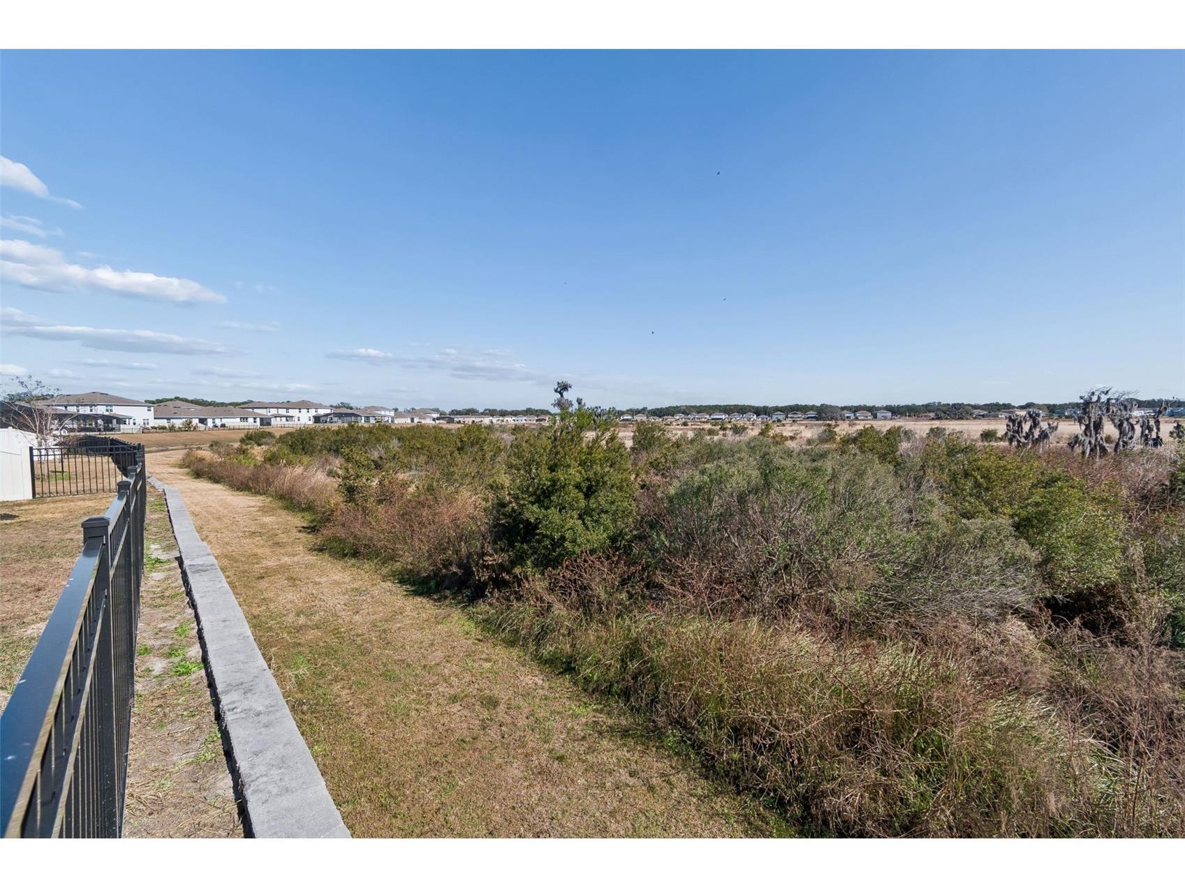 9882 Shoreline View Way Wesley Chapel FL 33545 TB8466209 image53