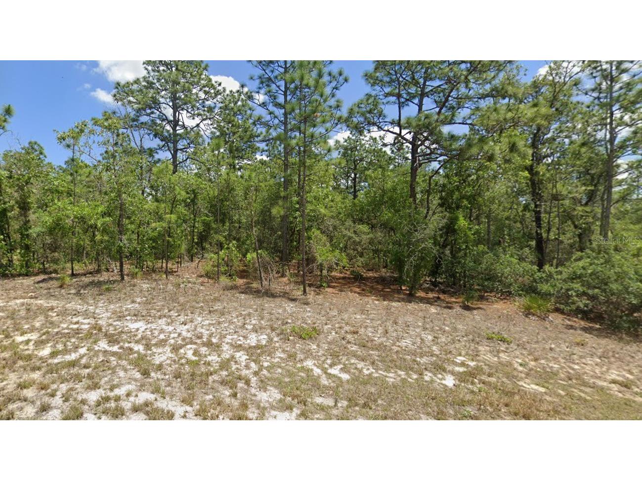 9885 N Lathyrus Terrace Citrus Springs FL 34433 J972381 image1