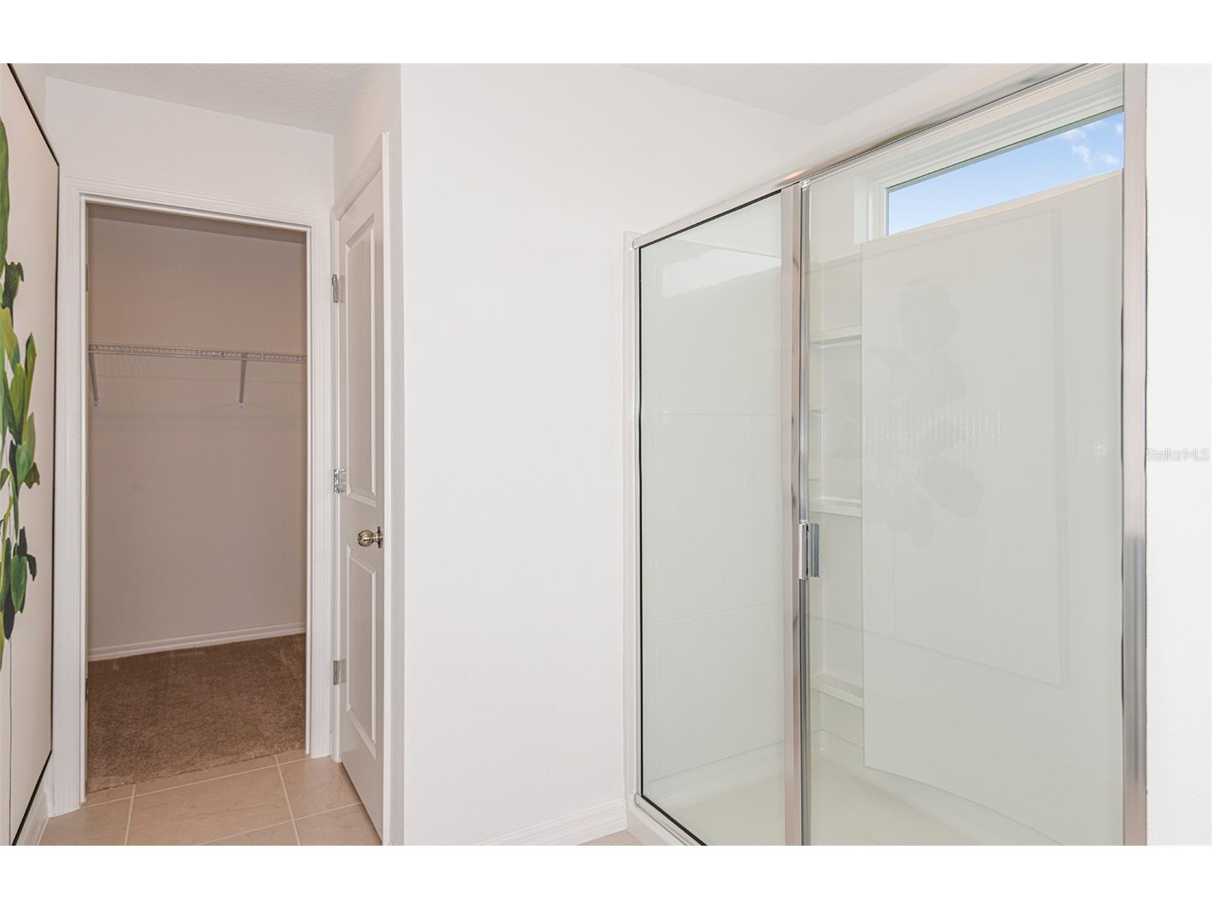9885 Trellis Vine Way Parrish FL 34219 TB8497909 image11